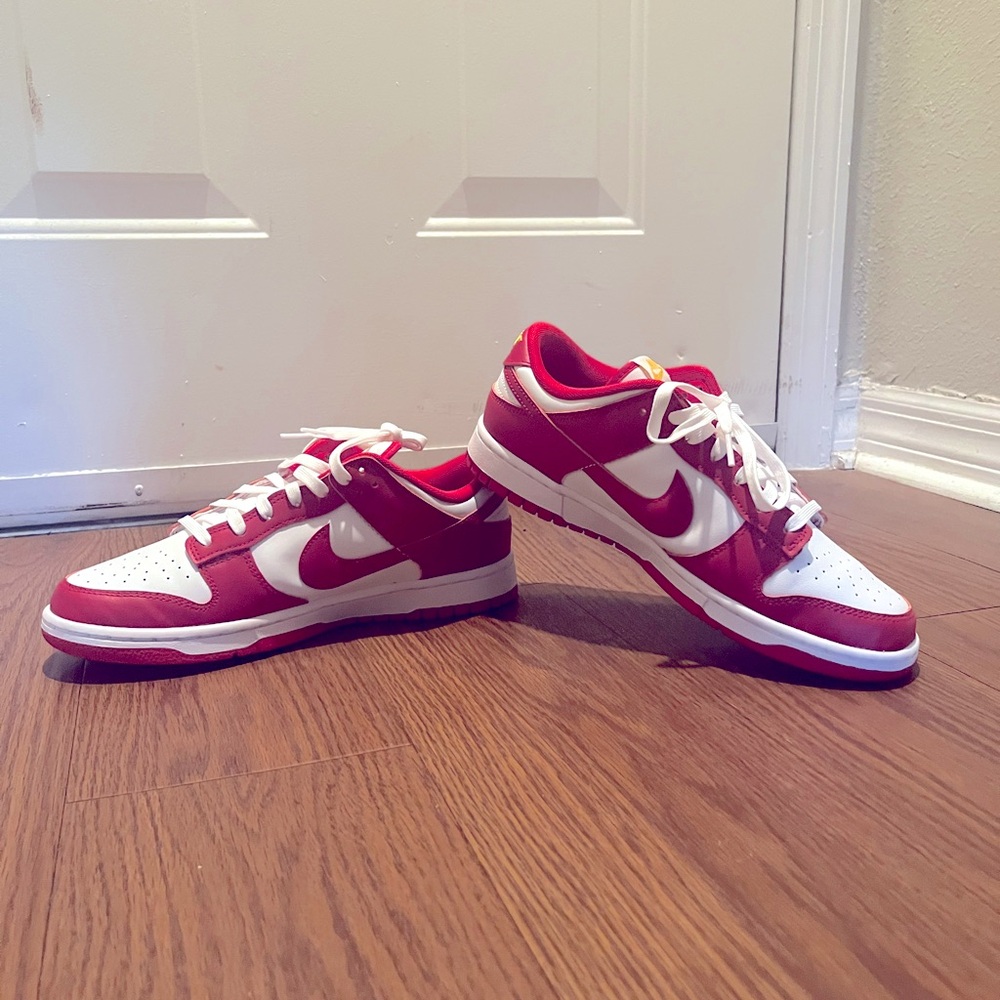 Nike Dunk Low Retro | Size: 10